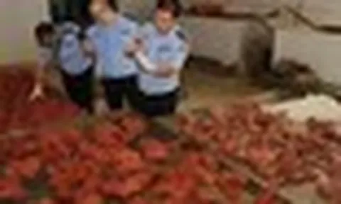 Theo dõi suốt 2 tháng, phanh phui đường dây sản xuất thịt giả doanh thu 19 tỷ đồng, thu giữ 2,2 tấn thịt chất thành "núi"