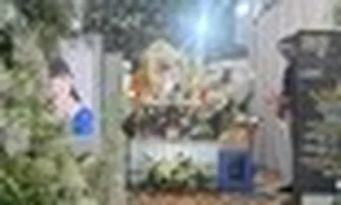 Võ Hạ Trâm nghẹn ngào tiễn biệt nghệ sĩ Bạch Vân: "Con xin lỗi vì đã không về kịp những giây phút cuối"