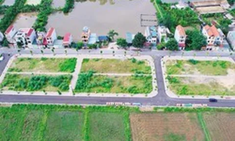 Nghiên cứu tăng mức đặt cọc đấu giá đất lên 20 - 50%