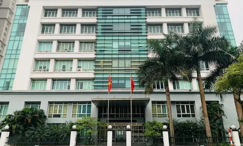 Nhiều sai phạm trong đấu thầu tại Cục Hàng hải và Đường thủy Việt Nam