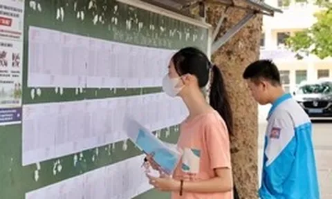 Có hay không sự bất thường trong loạt điểm 10 Toán ở Lào Cai, Hà Tĩnh?