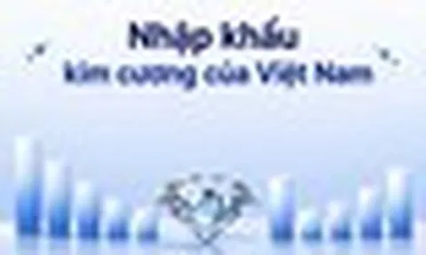 PNJ chỉ mua kim cương từ Hong Kong và Thái Lan: Cục Hải quan hé lộ quy mô nhập khẩu kim cương của Việt Nam