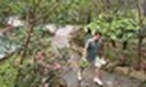 Biệt thự ngoại ô 4.000m² của "ông hoàng nhạc đỏ": Thứ đắt giá nhất không phải căn nhà