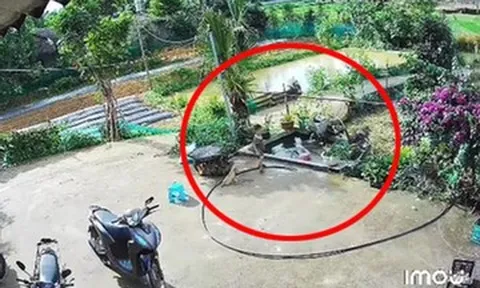 Bé trai 4 tuổi ở Tuyên Quang hô hoán, cứu em gái 2 tuổi thoát khỏi đuối nước