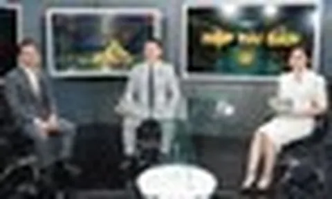 BTV Mùi Khánh Ly cùng 2 chuyên gia bàn chiến lược phân bổ đa lớp tài sản trên VTV8