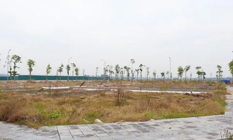 Đấu giá đất đã qua thời kỳ phải mua bằng mọi giá