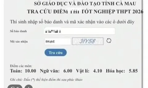 Vụ phản ánh gian lận ở Cà Mau: Học sinh thừa nhận dùng điện thoại