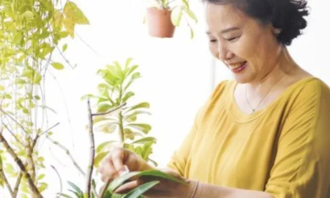 Đừng đợi nghỉ hưu mới lo: 3 điều quyết định tuổi già sung túc hay chật vật