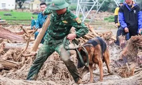 Thi thể một nạn nhân lũ quét ở Lai Châu được tìm thấy cách hiện trường gần 20 km