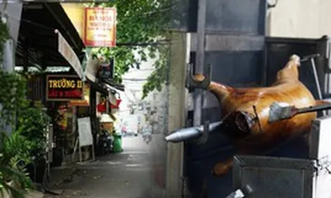 Cảnh tượng khó tin tại "Phố thịt chó" nổi tiếng một thời ở TP.HCM