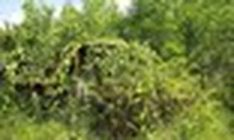 Phát hiện thi thể người đàn ông ở Huế sau 10 ngày mất liên lạc