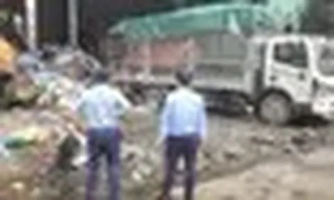 Một doanh nghiệp phải tiêu hủy gần 76.000 hộp bột rau vi phạm