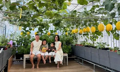 Chồng ở Đà Nẵng làm vườn sân thượng 100m2 tặng vợ, thu hơn 2 tạ trái mỗi mùa