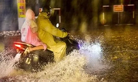 Cảnh báo mưa to nhiều nơi tại TP.HCM, đề phòng cây đổ, ngập nước