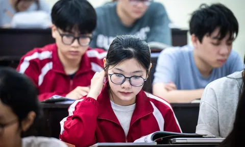 Bộ Chính trị yêu cầu giảm ít nhất 20% đầu mối đại học công lập