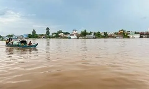 Đồng bằng sông Cửu Long 'đói' lũ, chuyên gia nói gì?