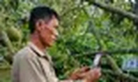 Tiết lộ về 'tờ giấy quyền lực' xuất khẩu sầu riêng