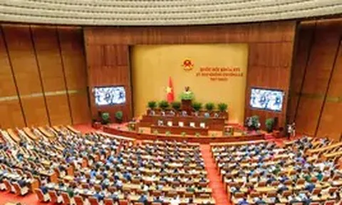 Quốc hội thảo luận các dự án luật về quân sự, quốc phòng, dầu khí