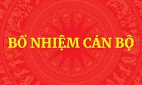 QUY ĐỊNH MỚI: Tiêu chuẩn, điều kiện bổ nhiệm công chức giữ chức vụ lãnh đạo, quản lý