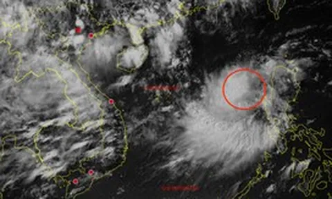Áp thấp nhiệt đới vừa hình thành trên Biển Đông, miền Bắc mưa lớn từ chiều nay