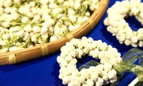 Loài hoa quen thuộc giúp cả vùng quê đổi đời, người dân sáng hái tối có tiền