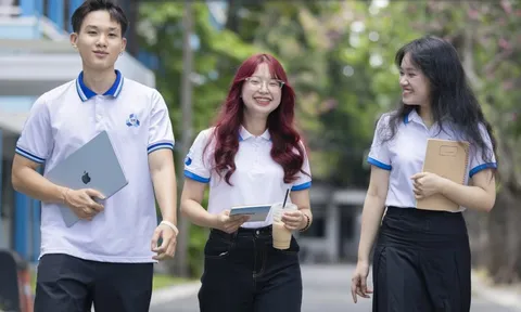 Mô hình nào cho cuộc 'đại phẫu' đại học công lập?