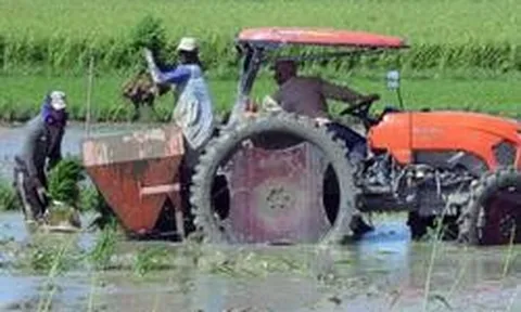 Cuba vừa đón tin cực vui, một doanh nghiệp Việt góp công lớn