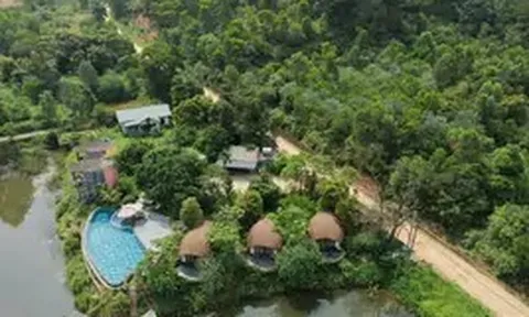 Yêu cầu kiểm tra, xác minh phản ánh villa, homestay mọc trong rừng phòng hộ Sóc Sơn
