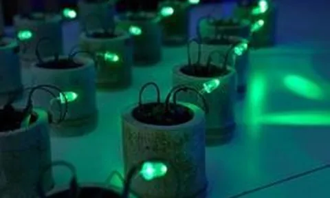 Kỹ sư Nhật Bản phát điện từ đất và phân hữu cơ