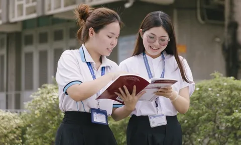 Sáp nhập đại học, 'đường ray' nào để về đích đúng hạn?