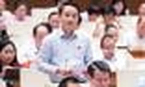 ĐBQH: Mở rộng hoạt động của ngân hàng cần phòng ngừa tình trạng 'bia kèm lạc'