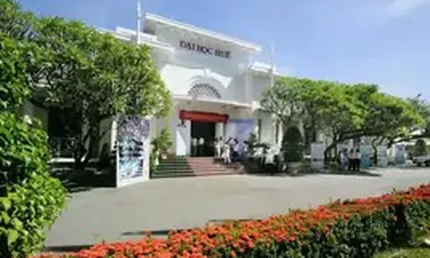 Điểm chuẩn Đại học Huế 2026: Ngành nào cao nhất?