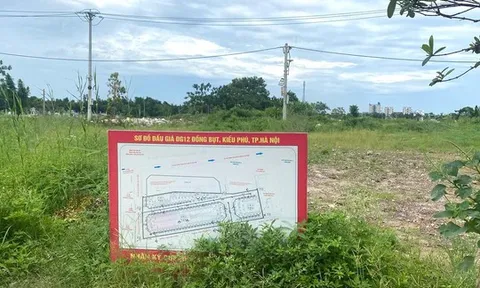 Xã Kiều Phú: Vì sao người trúng đấu giá đất ở lại thấp thỏm về quy hoạch?