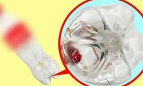 Vì sao đáy chai nước luôn lồi lõm kỳ lạ? Hóa ra không phải để trang trí