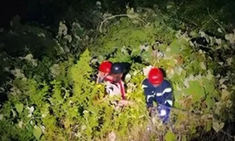 Cứu sống một sinh viên rơi xuống vực tại bán đảo Sơn Trà trong đêm
