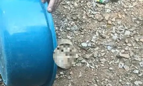 Phát hiện vật thể nghi là sọ người ở Tuyên Quang
