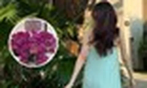 Nàng hậu Việt vừa sinh con cho doanh nhân kín tiếng