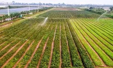 Hà Nội: Xây dựng dữ liệu đất đai đi trước một bước, tạo nền tảng quản trị hiện đại
