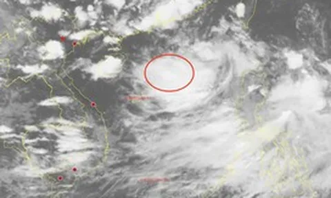Xuất hiện vùng áp thấp trên Biển Đông, Bắc Bộ và Bắc Trung Bộ mưa lớn từ đêm nay