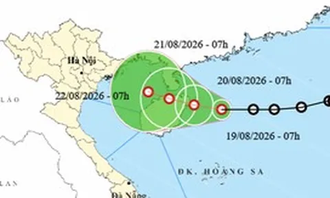 Áp thấp nhiệt đới khả năng mạnh thêm, hướng vào vịnh Bắc Bộ