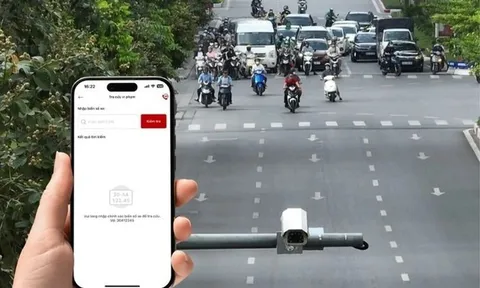 Cách tra cứu phạt nguội hiệu quả, nhanh nhất và những điều cần lưu ý