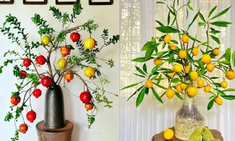 Cành hồng, na trĩu quả vào bình, thú chơi nhiều người mê mẩn