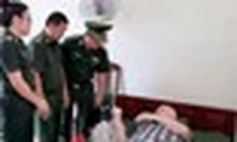 Được cấp cứu kịp thời khi vừa nhập cảnh, du khách Mỹ xúc động muốn hiến tạng cho Việt Nam