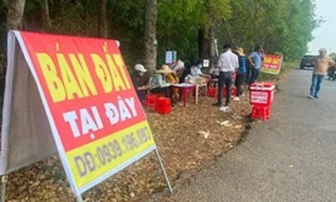 260.000 ‘cò đất’, môi giới tự do đang hành nghề trái luật?