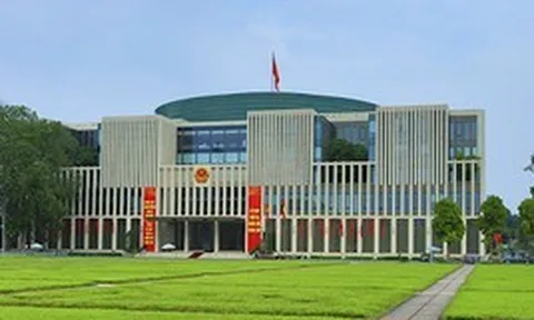 CHÍNH SÁCH ĐẶC THÙ: Thế nào là không tham nhũng; vì lợi ích chung; hậu quả thiệt hại...?