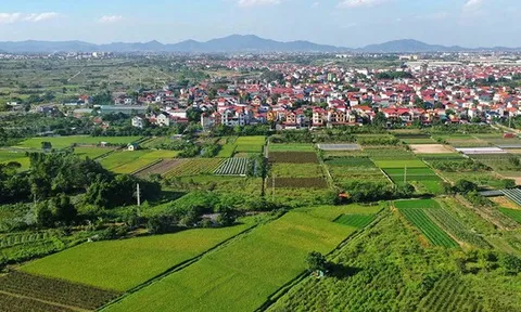 Bài cuối: Để đất đai thực sự trở thành nguồn lực cho tăng trưởng