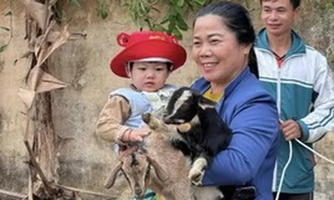 24.000 người được sơ cứu, 2 con dê cho 1 gia đình và những thay đổi bắt đầu từ điều nhỏ bé