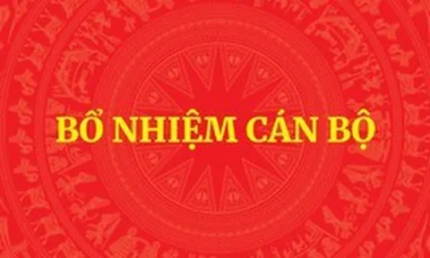 Thủ tướng bổ nhiệm 3 Thứ trưởng và 2 Phó Tổng Thanh tra Chính phủ