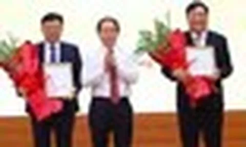 Thủ tướng bổ nhiệm hai Phó Tổng Thanh tra Chính phủ