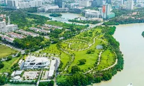 Chủ khu đô thị 'nhà giàu' Phú Mỹ Hưng lãi 7,5 tỉ đồng mỗi ngày